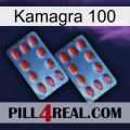 Kamagra 100 05